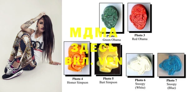 сатива Покачи