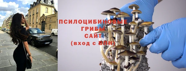 мдпв Переславль-Залесский